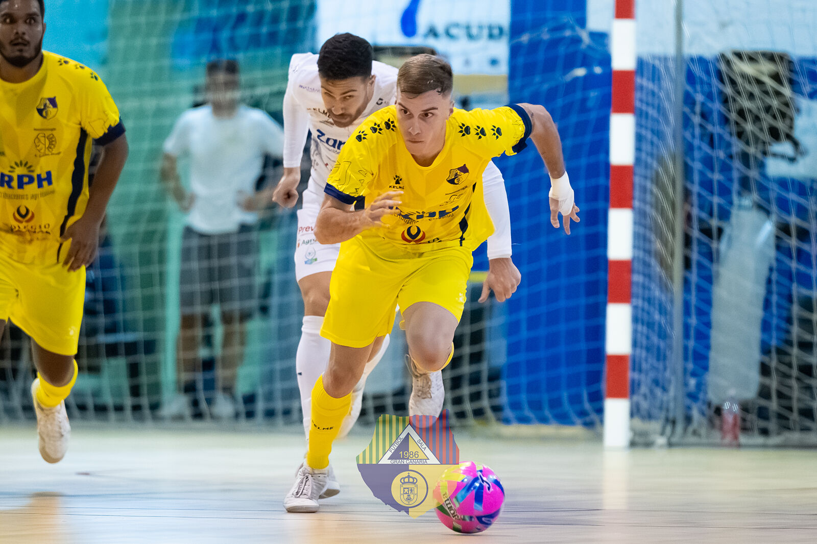 Rayco Tacoronte Fotografía - 28102025_copa_del_rey_gran_canaria_fs_vs_zambu_pinatar_fs_67-ts20251203183524398711.jpg