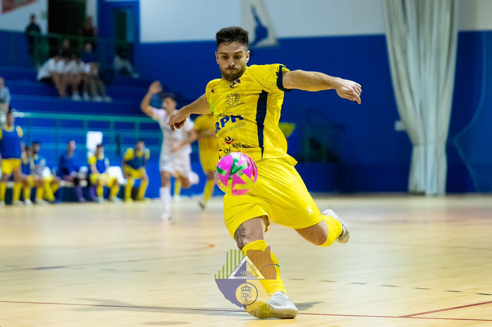 Rayco Tacoronte Fotografía - 28102025_copa_del_rey_gran_canaria_fs_vs_zambu_pinatar_fs_76-ts20251203183544355085.jpg