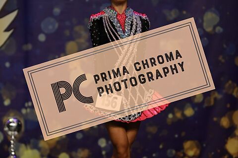 Contestant 156 - Round 1, 2 & 3