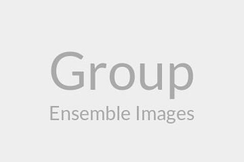 Group Ensemble Images