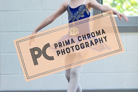 Contestant 16