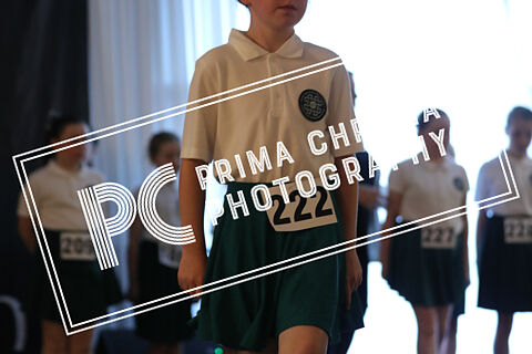 Cont. No. 222