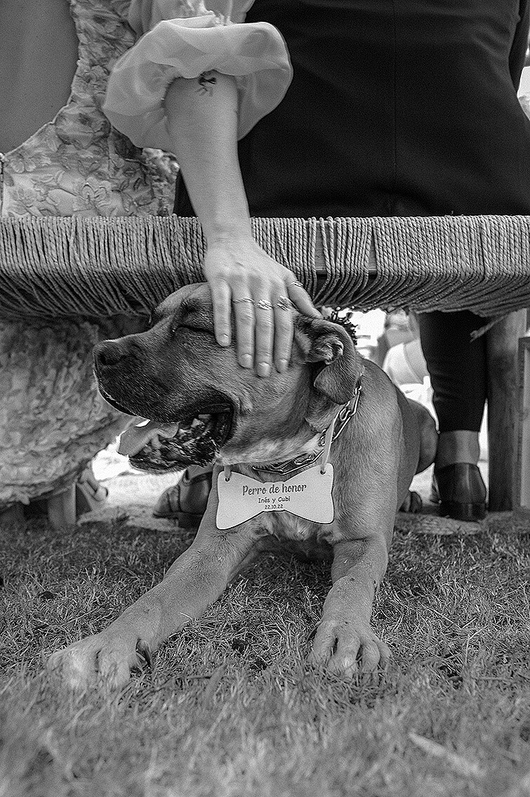 221022-Cubi-&-Inés-1889