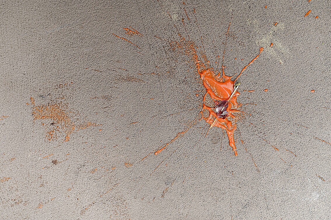 221022-Cubi-&-Inés-2993