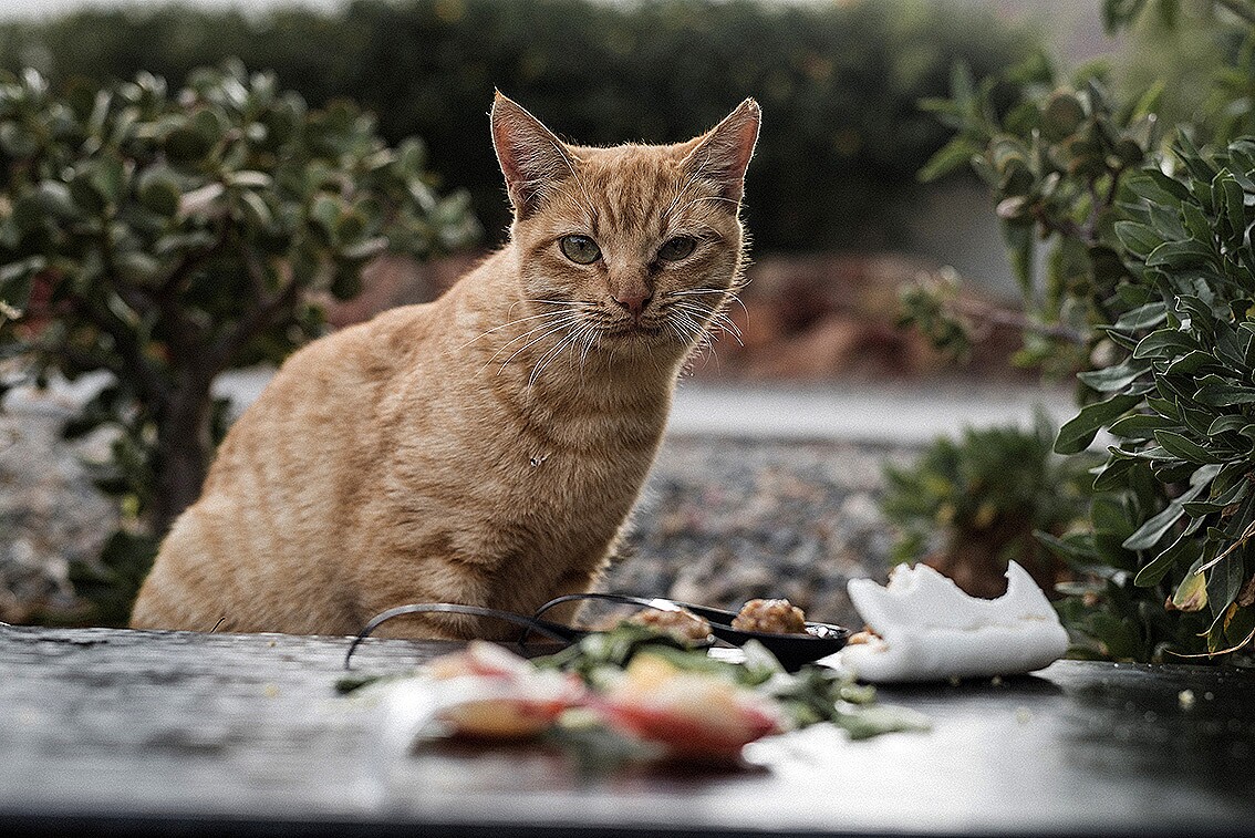 221022-Cubi-&-Inés-4393