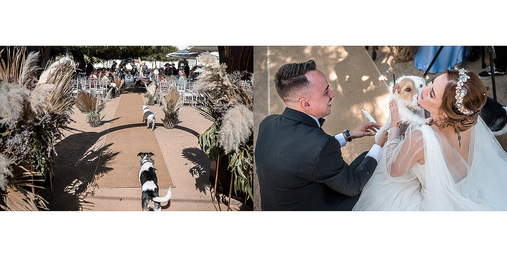 FRANORTIZ-PRESENTACION-202