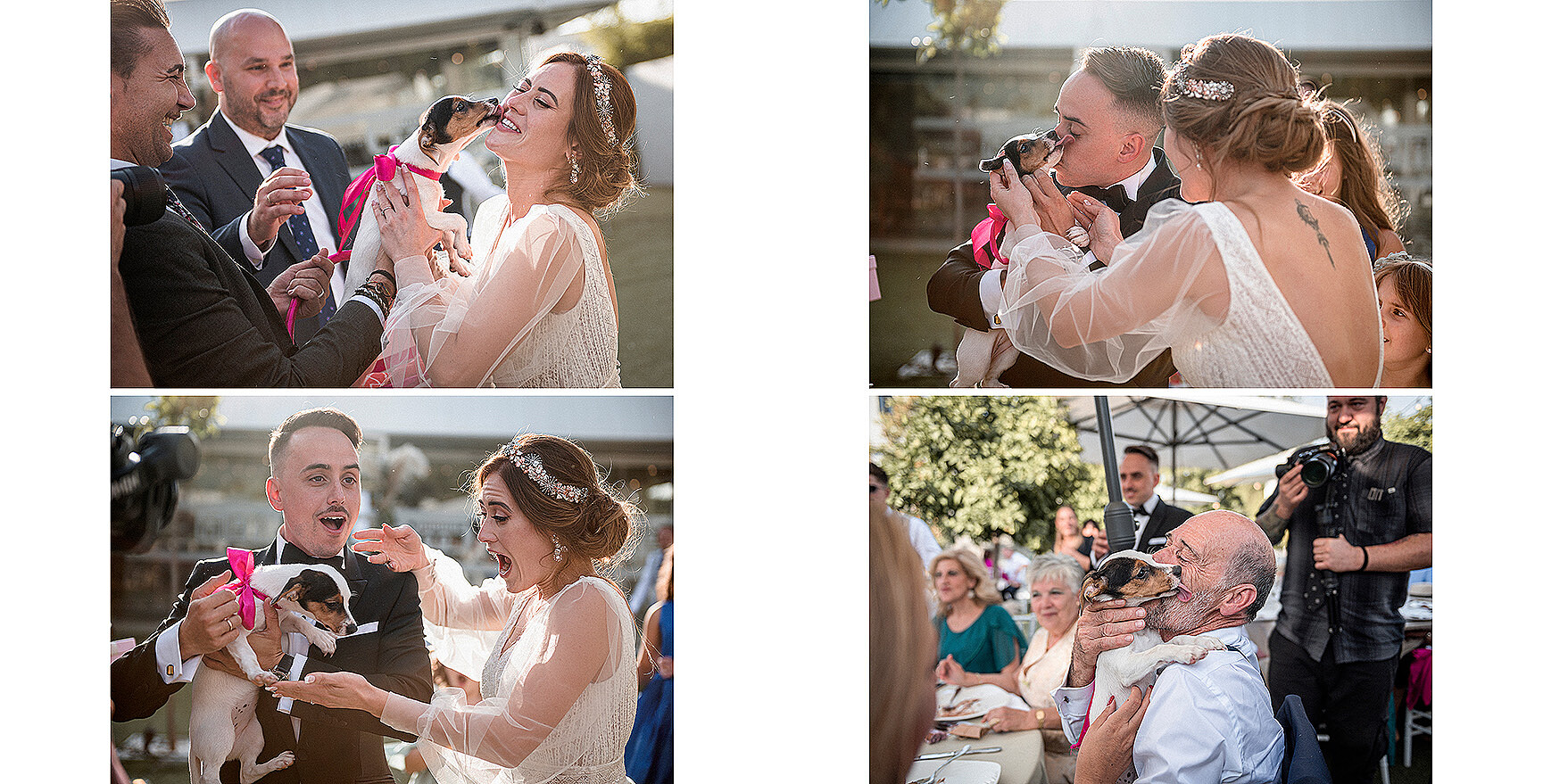 FRANORTIZ-PRESENTACION-218