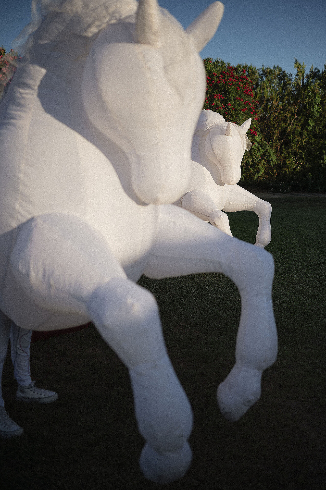 boda-circo-temática-fotografo-fran-ortiz-retratista-Raf-mesa-espectáculos-027