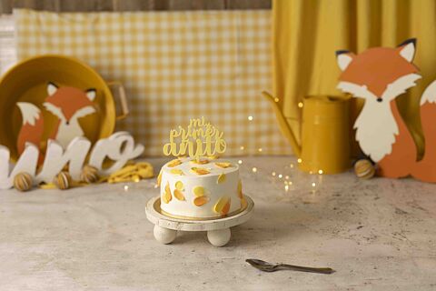 SELECCIONA TUS 15 FOTOS