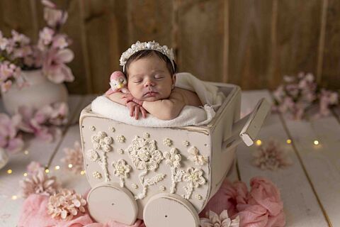 SELECCIONA TUS 25 FOTOS