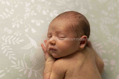 SELECCIONA TUS 25 FOTOS