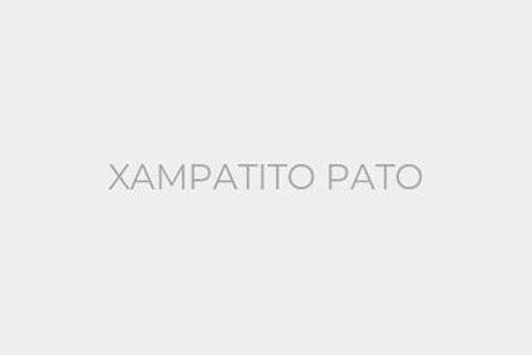 XAMPATITO PATO