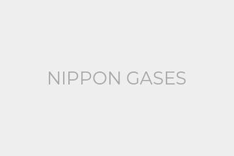 NIPPON GASES