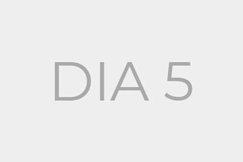 DIA 5