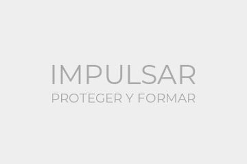 IMPULSAR PROTEGER Y FORMAR