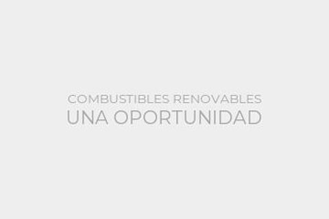 COMBUSTIBLES RENOVABLES UNA OPORTUNIDAD