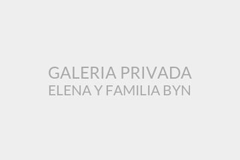 GALERIA PRIVADA ELENA Y FAMILIA BYN