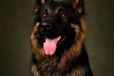 BALOO