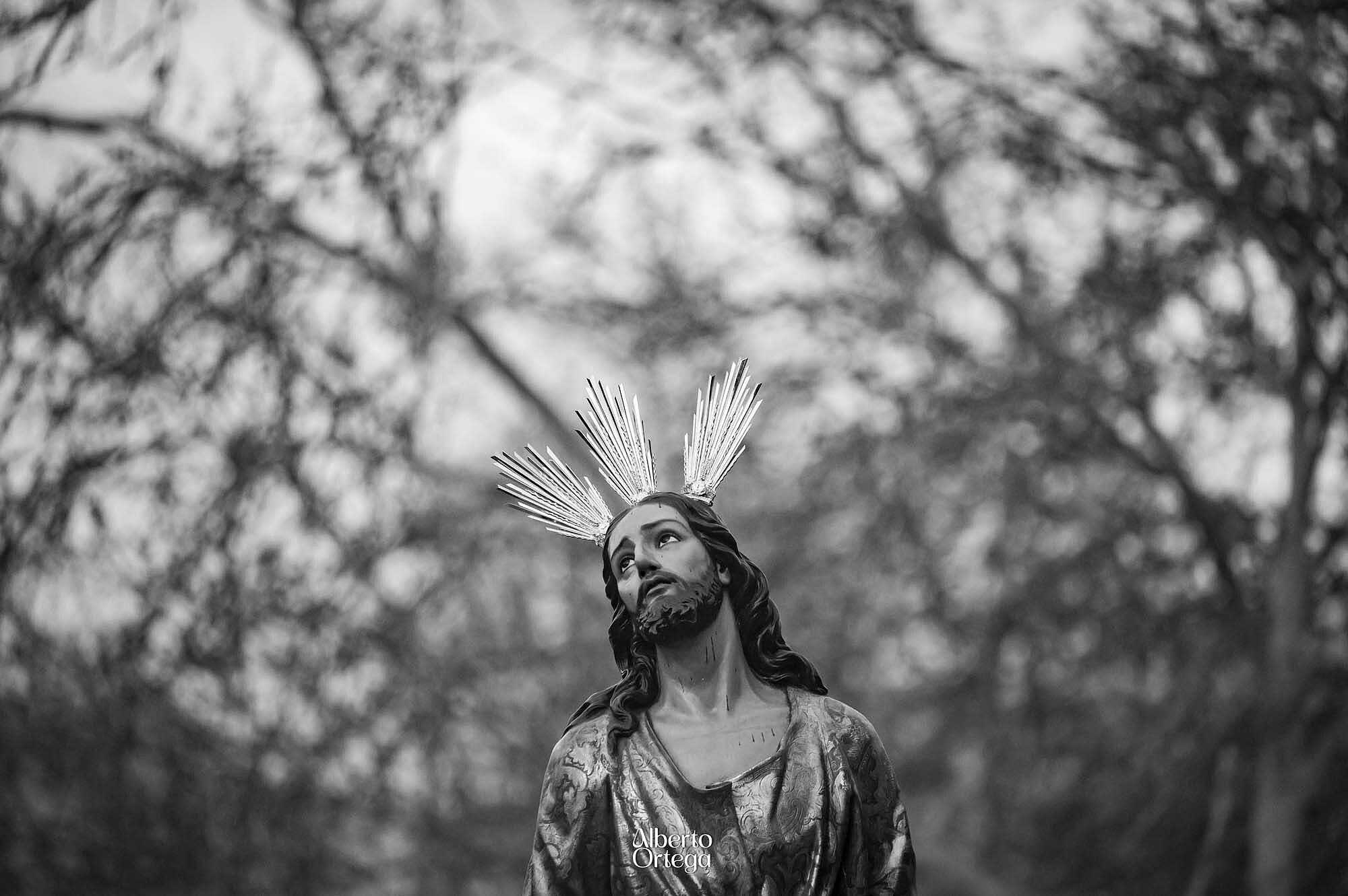 misiones huerto (15)