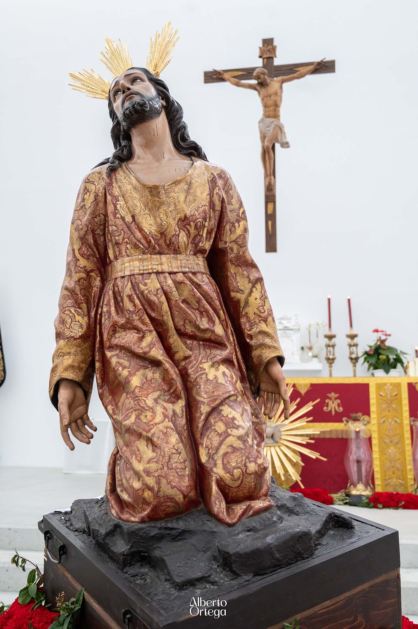 misiones huerto (18)