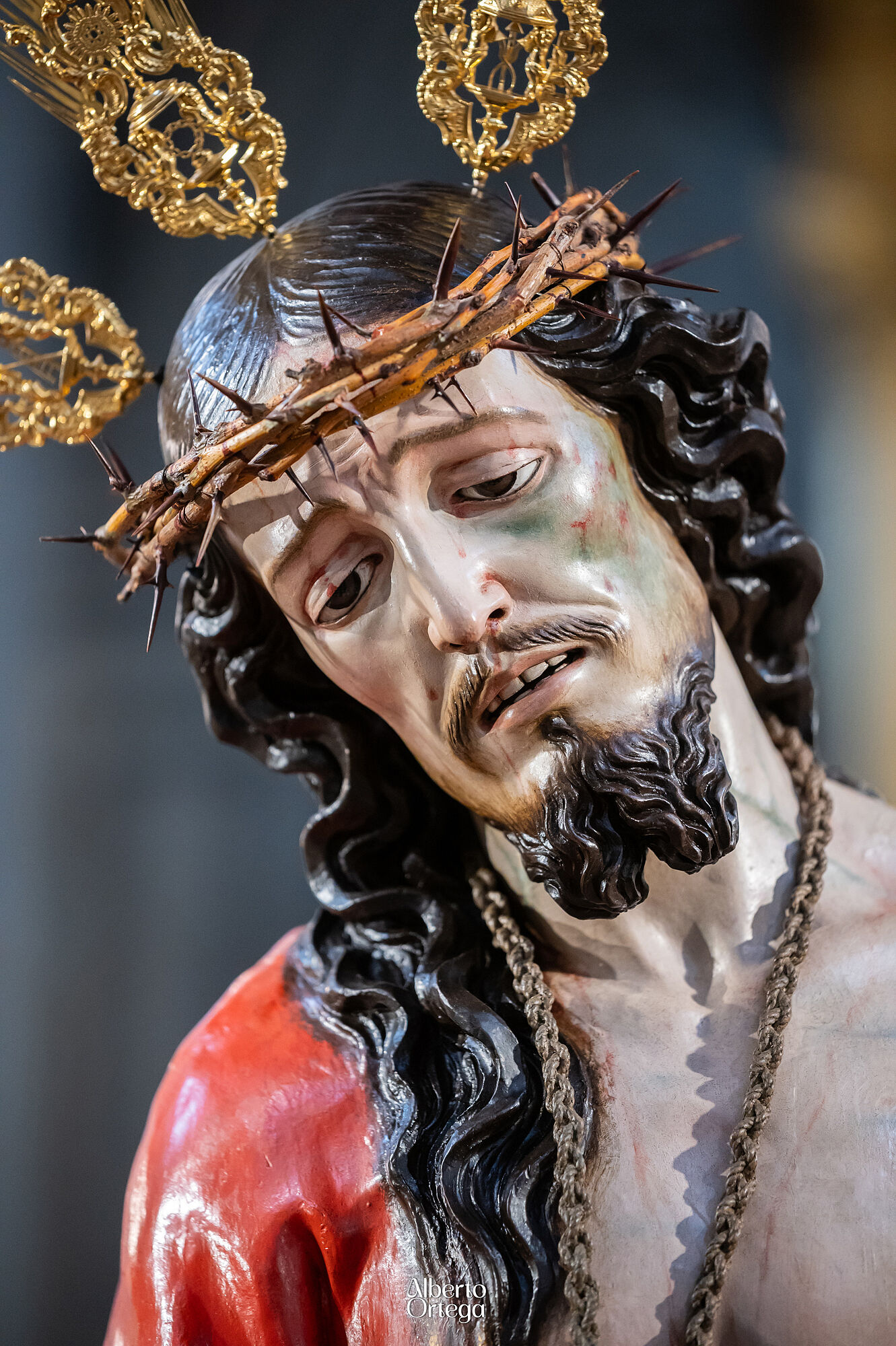 sentencia (2)