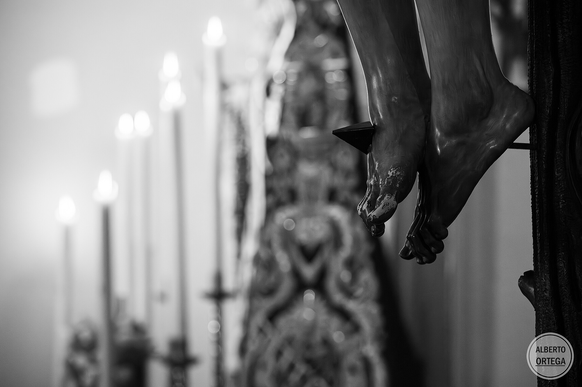 AOE_4678-Mejorado-NR