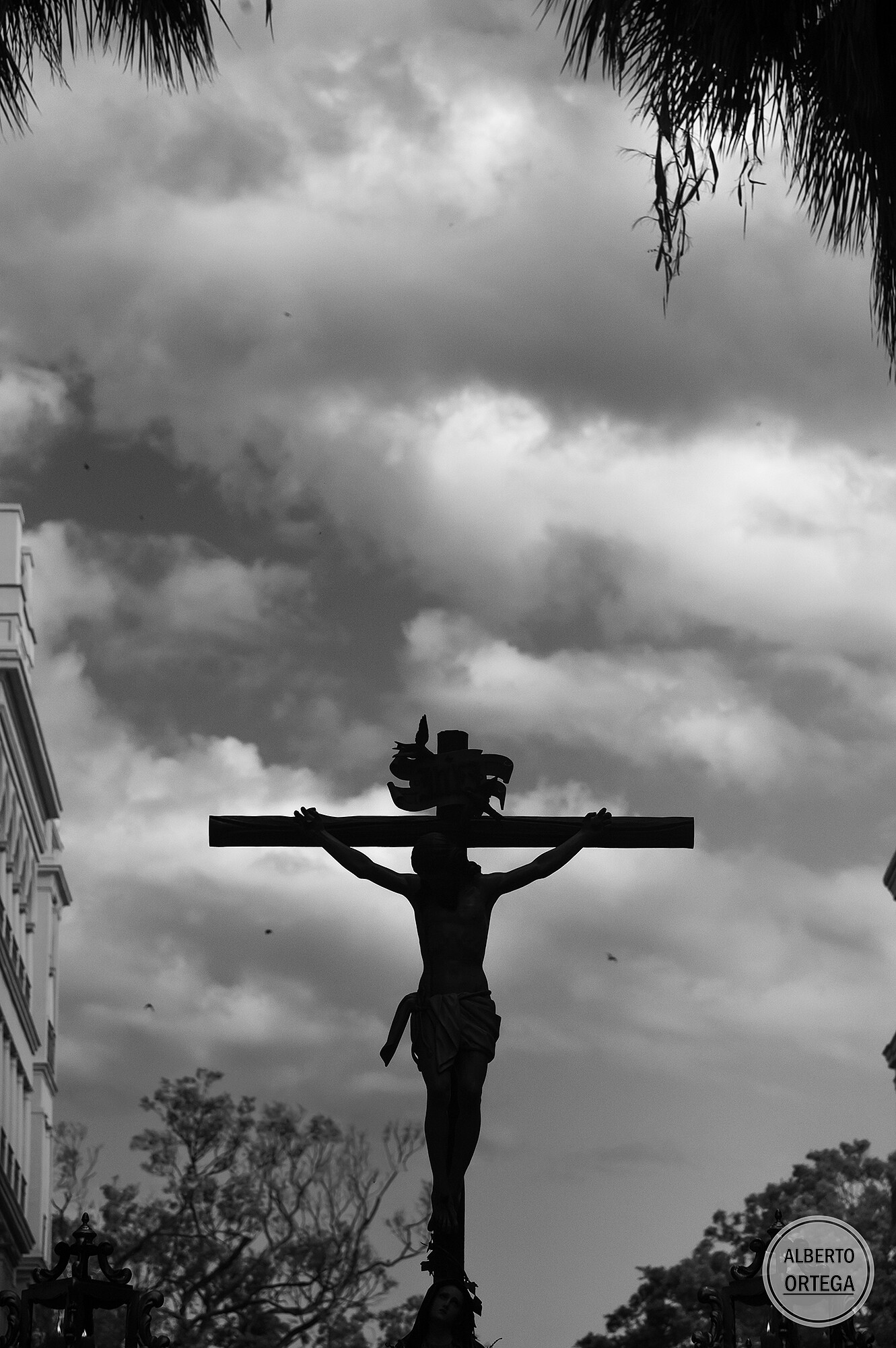 Extraordinaria Amor Málaga (4)