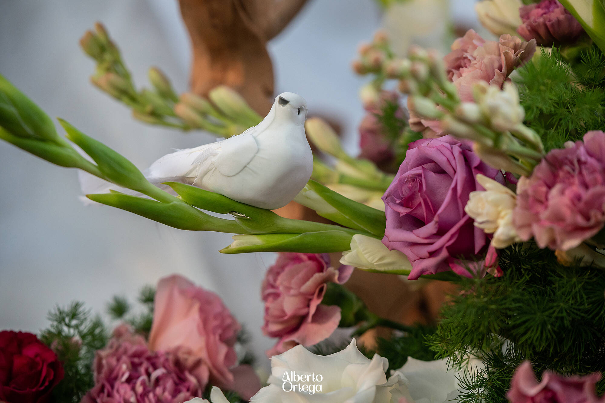 Procesion Amor y trabajo barrio (5)