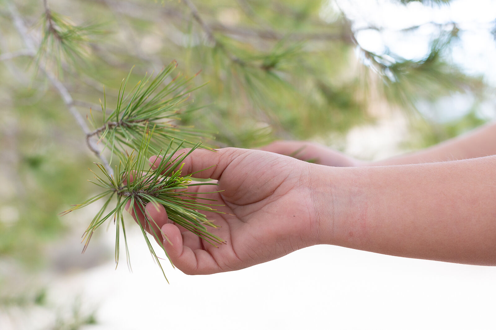Sonia Moreno - mula-br-promo-f-bayona-141-ts20251214231209773129.jpg