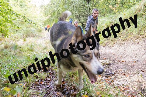 MENDIRA JOAN ETORRIA 25 [ SUBIDA]