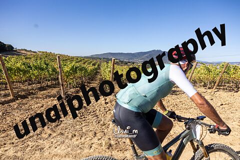 EPIC 25 [OTEIZA+MUSKILDIA]