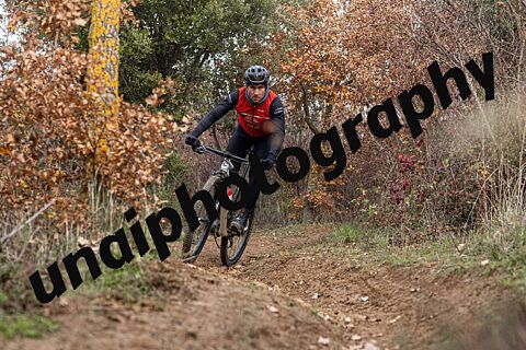 OTEIZA LA BALLENA 25