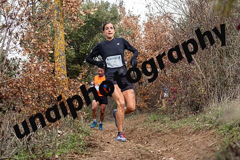 OTEIZA LA BALLENA 25  2