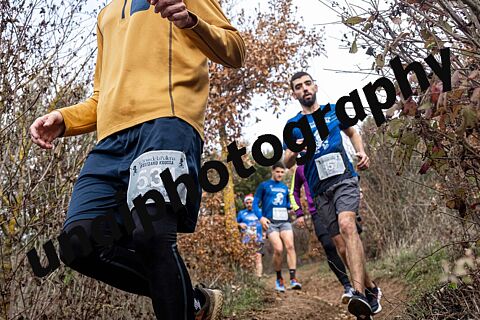 OTEIZA LA BALLENA 25 4