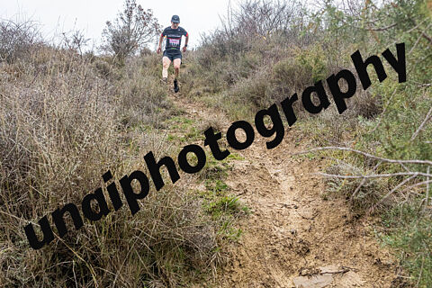 AIBAR 26 [ KM7** CORTA]