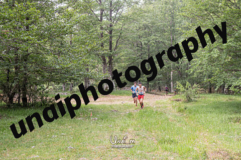 LAKUNTZA-ARALAR TRAIL 26 [KM4**]