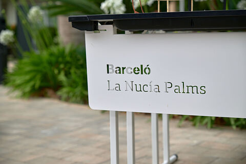 HiSense Team Building 2025 - Hotel Barcelo Nucia Palms