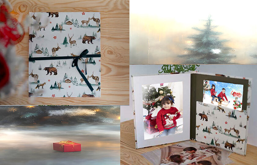 Miguel Palao FOTOGRAFO - 2-ts20251015083428926086.jpg