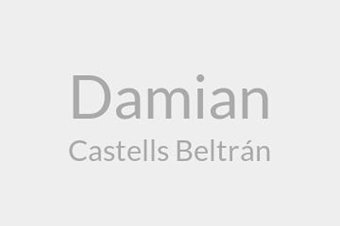 Damian Castells Beltrán