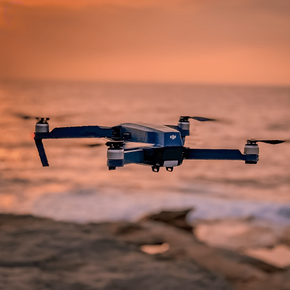 Euskodron - pexels-photo-1809576.jpeg