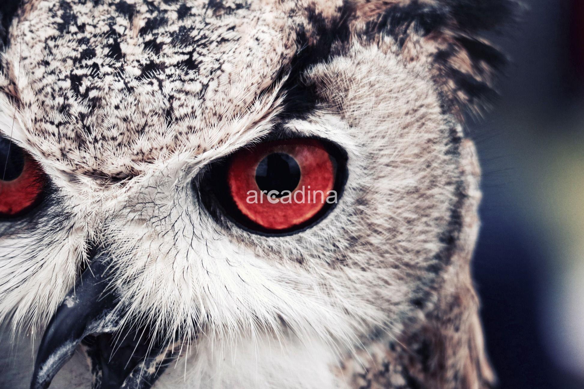 Foto-Estudio Fotometro - 13.jpg