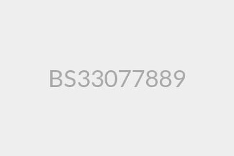 BS33077889