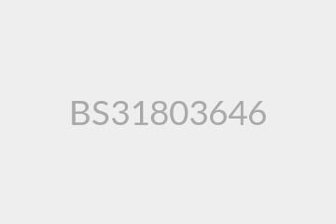 BS31803646