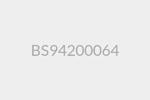 BS94200064