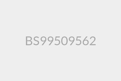 BS99509562