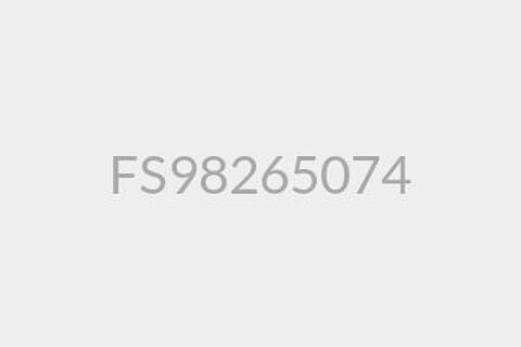 FS94794618