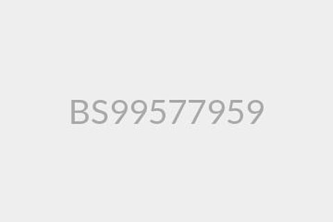BS99577959