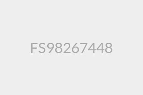 FS98267448