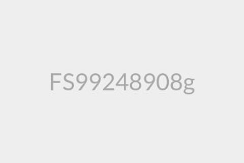 FS99248908g