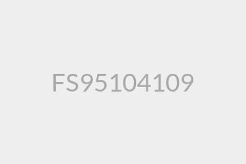 FS95104109